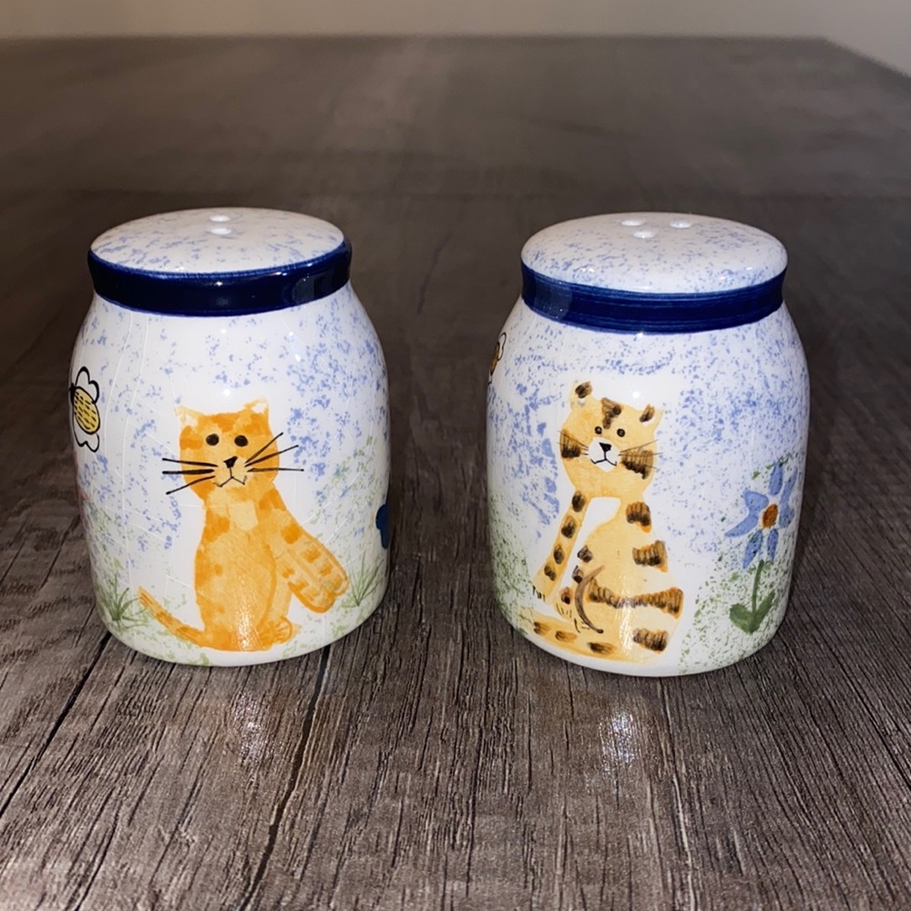 Vintage hand painted ceramic salt and pepper shakers
